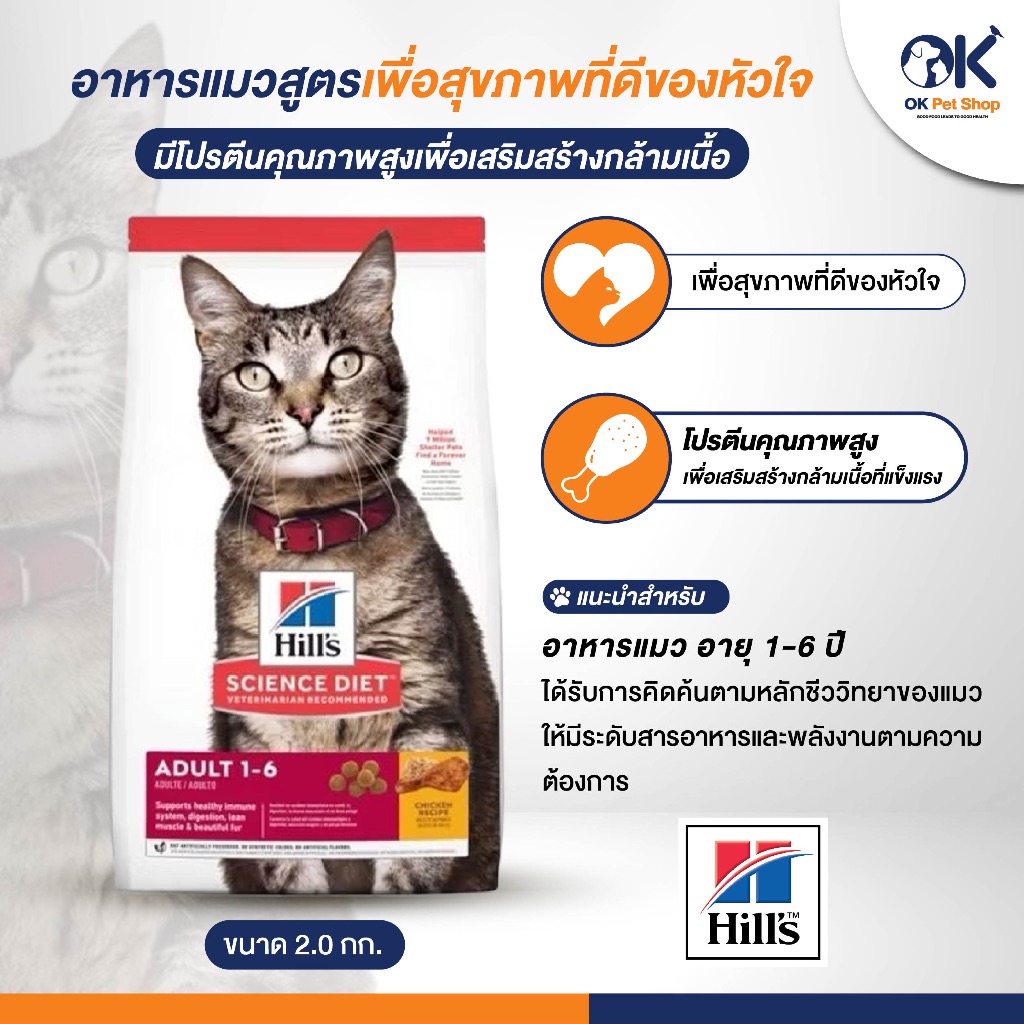Hill's Feline Adult อาหารแมว