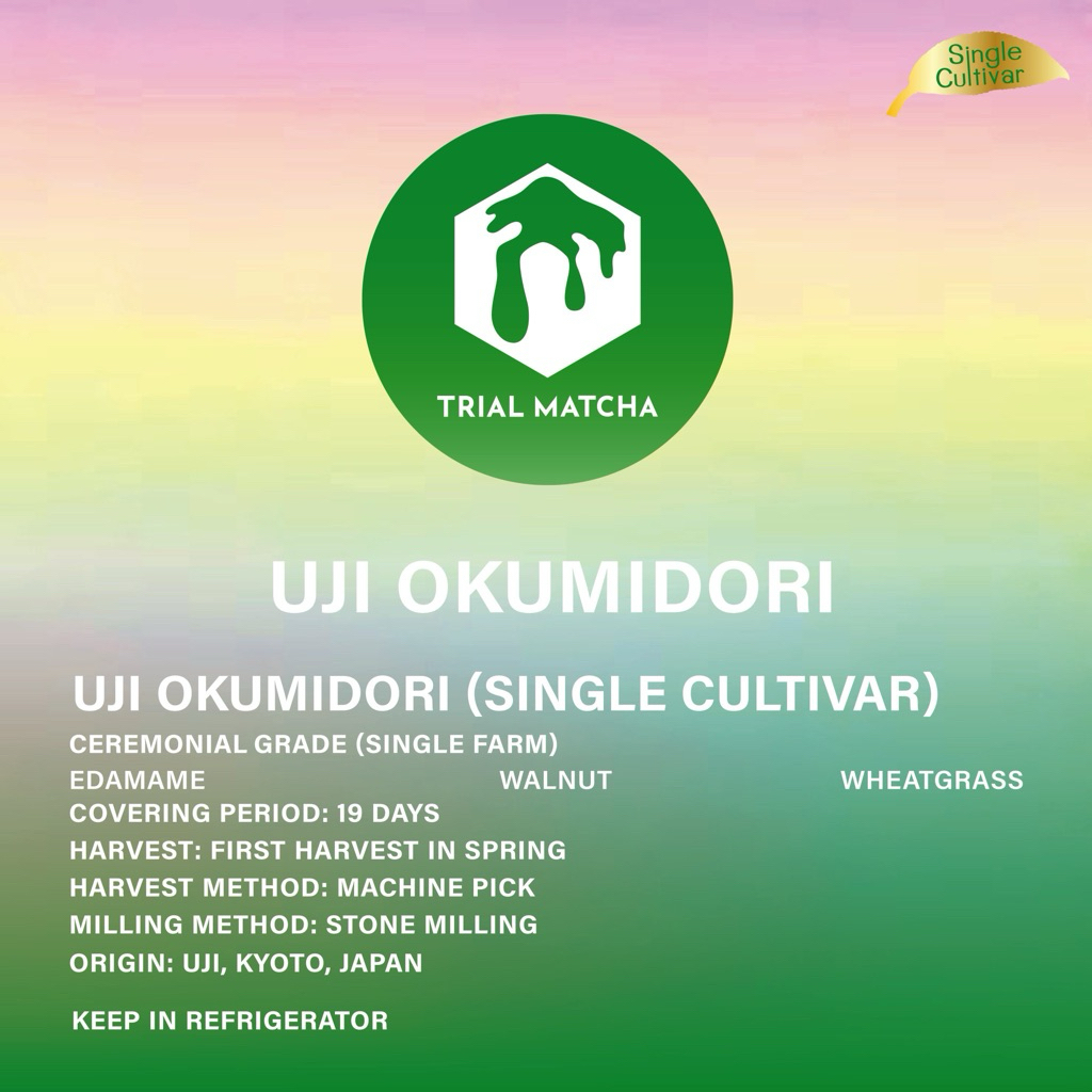 TRIAL MATCHA | ผงมัทฉะอุจิสายพันธุ์เดี่ยว Uji Okumidori Single cultivar (ตัวใหม่)