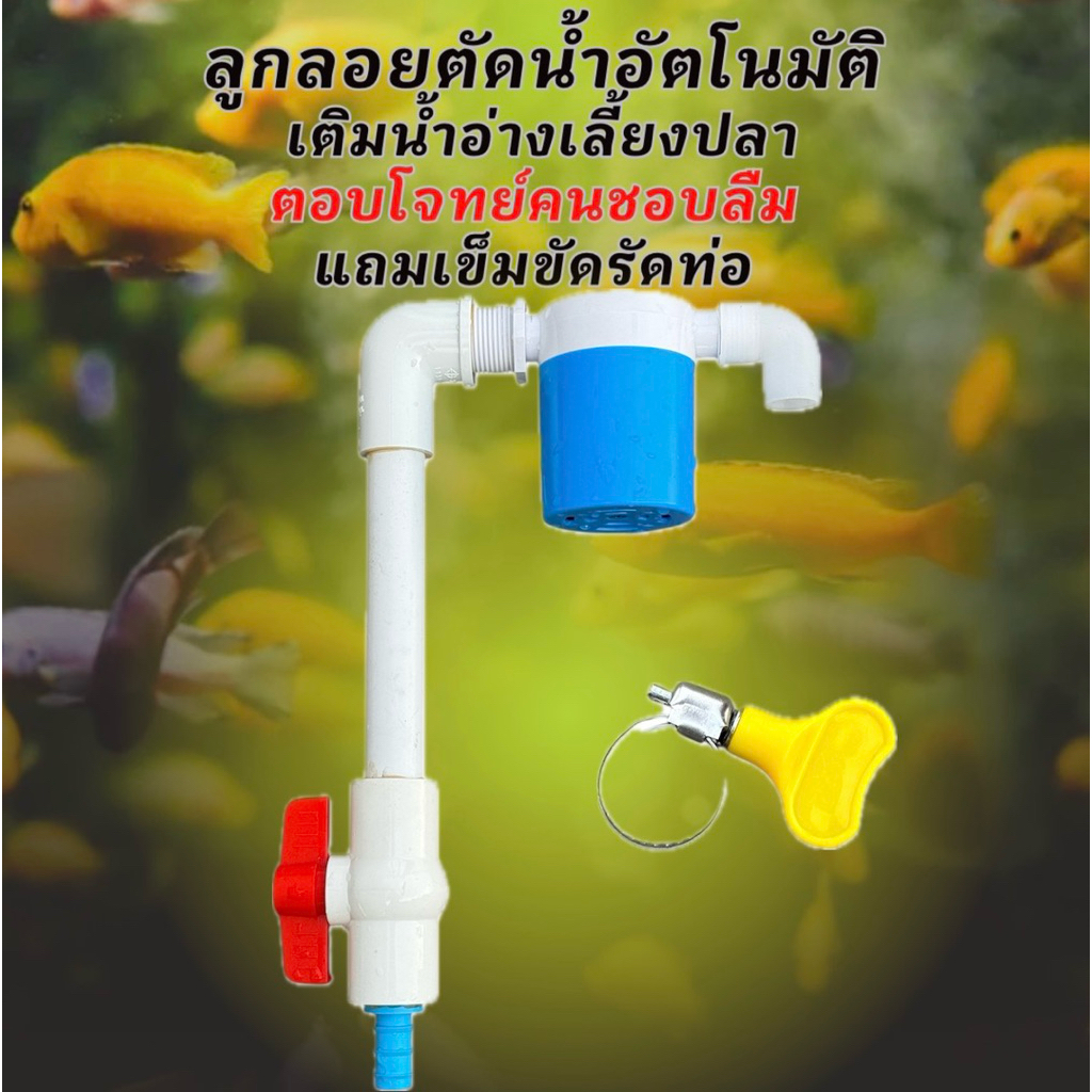 ลูกลอยตัดน้ำสำหรับอ่างเลี้ยงปลา ท่อสีขาว ลูกลอยควบคุมน้ำอัตโนมัติ ทำให้เติมน้ำแล้วไม่ล้นอ่าง อ่างเลี้ยงปลา อ่างปลาบอลลูน