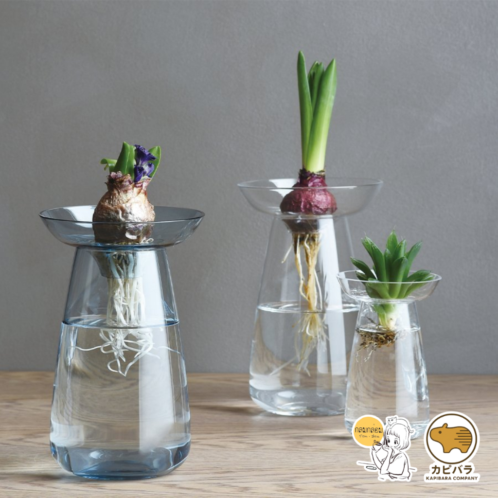 Kinto AQUA CULTURE VASE 🇯🇵