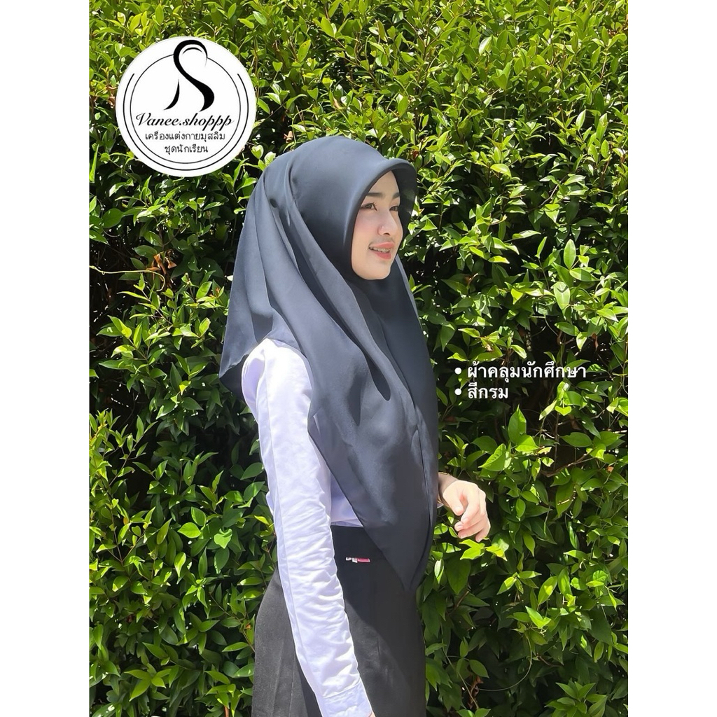 รูปภาพ 7