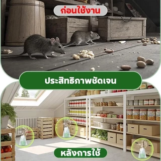 ลูกเหม็นไล่หนู แร็ท คิลเลอร์ ยาเบื่อ หนู เมตร ไล่หนู ยาไล่หนู ไล่หนูถาวร สูตรสมุนไพร ยาฆ่าหนูยกรัง ยาหนูตายแห้ง