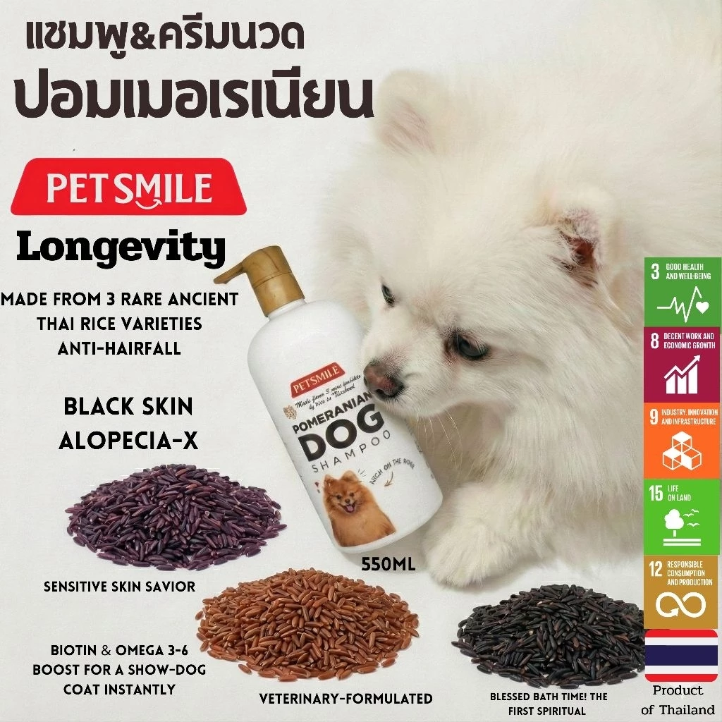 PETSMILE แชมพูป้องกันแบล็คสกินและเชื้อรา สำหรับปอมเมอเรเนียน 550ml