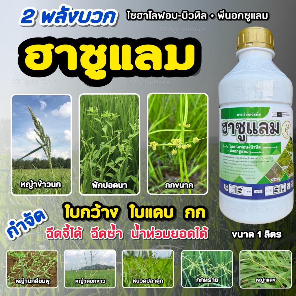 ฮาซูแลม ไซฮาโลฟอป-บิวทิล + พีนอกซูแลม 5% + 1% W/V OD - ขนาด 1 ลิตร - กำจัดหญ้า นาข้าว หญ้าข้าวนก ดอกขาว กก ใบกว้าง