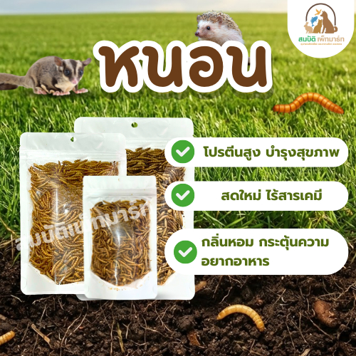 หนอนนกอบแห้ง หนอนอาหาร หนอนอบแห้ง อาหารหนูแฮมเตอร์ hamster โปรตีนสูง อาหารนก เต่า ขนาด 45 และ 100  กรัม