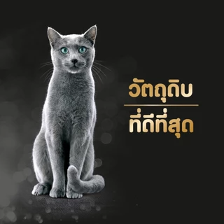 SHEBA เมลตี้ ขนมแมวเลีย 48 ก.