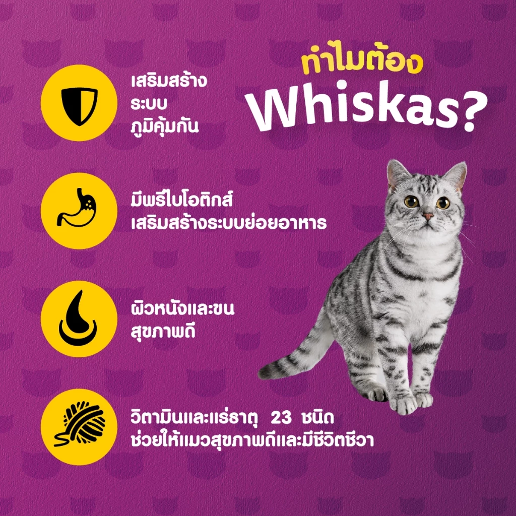 WHISKAS วิสกัส อาหารเม็ดแมวสำหรับแมวโต 1.2 กก. thumbnail 4