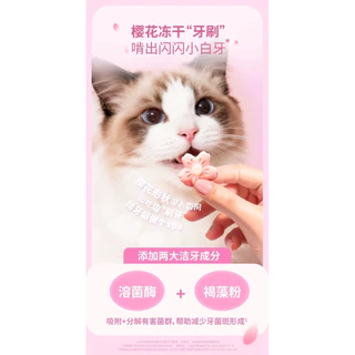 Bright - Sakura Fresh Freeze-Dried อาหารแมวฟรีซดรายมื้อหลักซากุระสดใส รสไก่+แครนเบอร์รี่ 18g (2gx9ซอง)