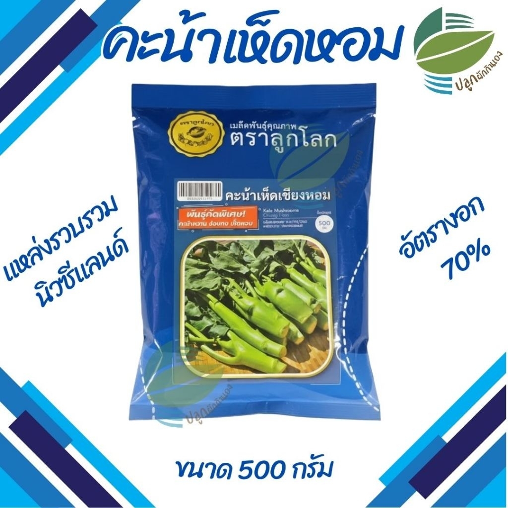 เมล็ดพันธุ์ คะน้าเห็ดหอม  เชียงหอม  ตราลูกโลก (500กรัม)