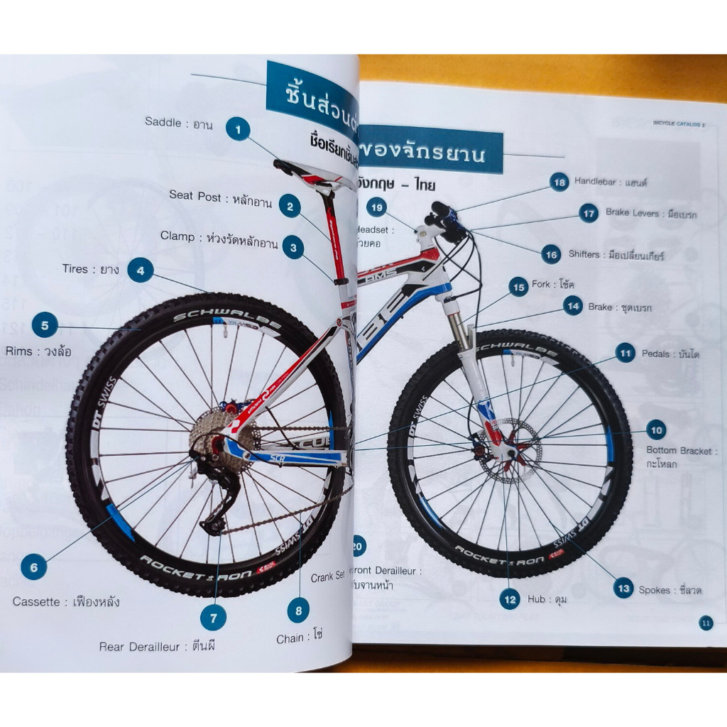 รวมจักรยานในดวงใจน่าใช้ปั่นเมือง BICYCLE CATALOG - รูปที่ 5