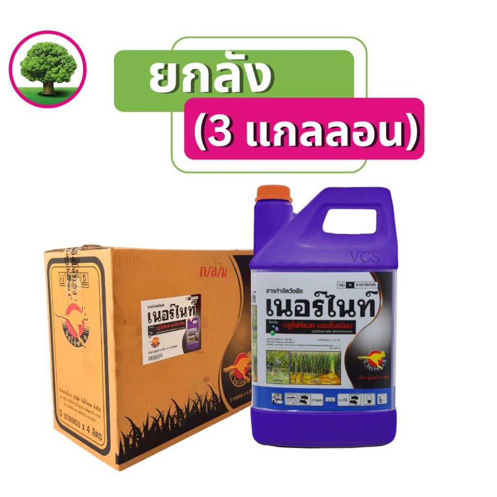 เนอร์ไนท์ขนาด4 ลิตรแกลลอน สีม่วง (ยกลัง แพ็คเก็จใหม่) 3 แกลลอน กลูโฟซิเนตแอมโมเนียม15% ตราจิงโจ้ทอง