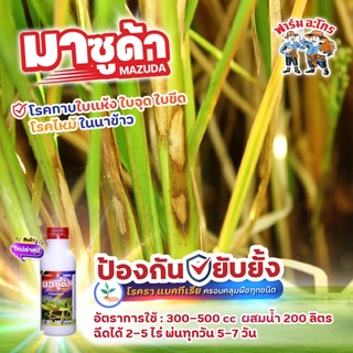 มาซูด้า กำจัดโรคที่เกิดจากเชื้อรา ไฟทอปธอร่า กำจัด ตะไคร่น้ำ ไล่ นก หนู กระรอก ใช้ได้กับพืชทุกชนิด