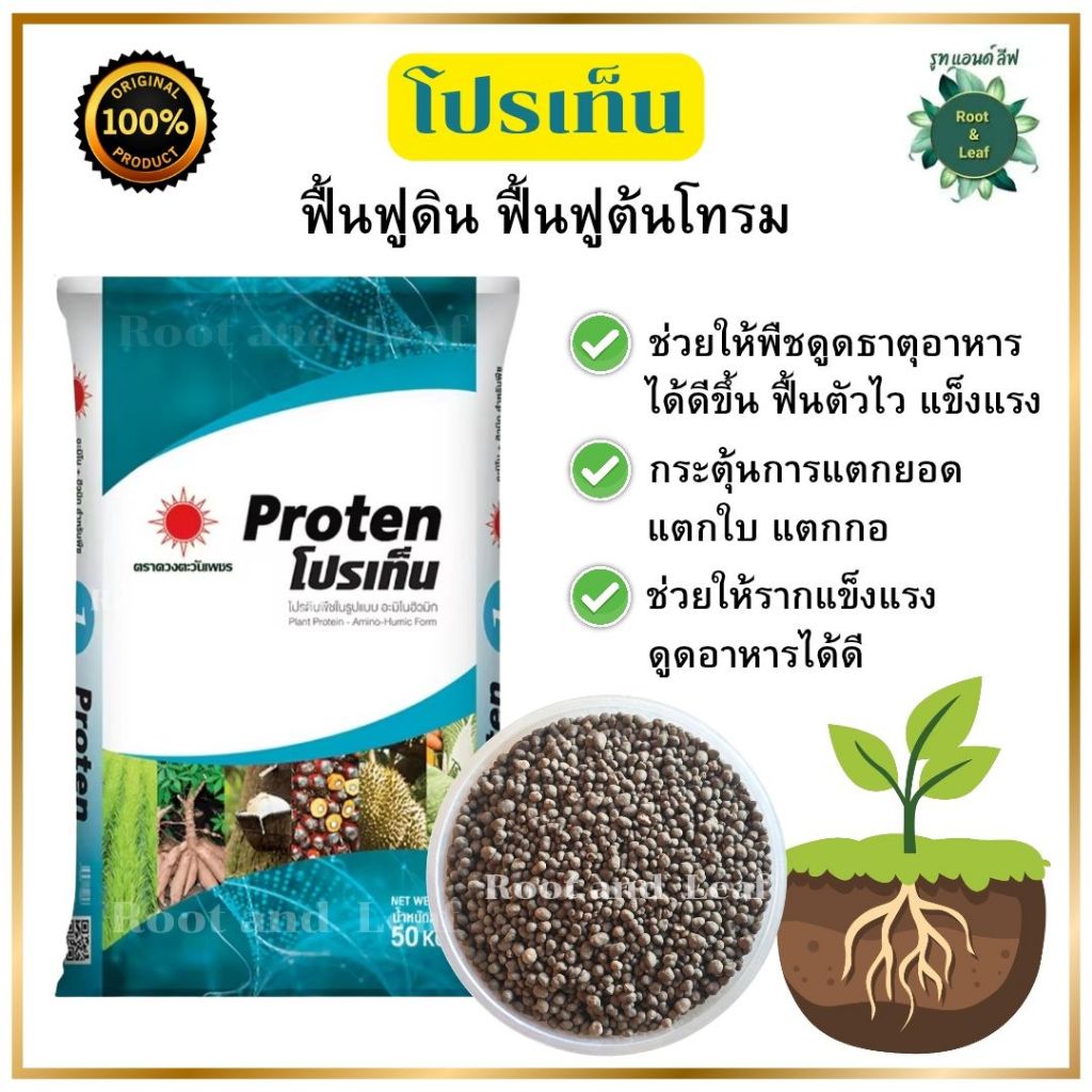 โปรเท็น ดวงตะวันเพชร ตักแบ่ง 1 กิโลกรัม ปุ๋ยโปรตีนพืชเข้มข้น (ฮิวมิก+อะมิโน) สูตรเร่งราก แตกยอด ฟื้นฟูพืชเร็ว ฟื้นฟูดิน