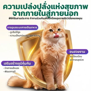 【 ซือ 2 แถมฟรี 1】Hegen Pet อาหารเม็ดแมว โภชนาการสมบูรณ์ สำหรับแมวทุกระยะวัย ตั้งแต่ลูกแมวจนถึงแมวโต 1KG