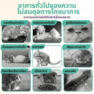 【 ซือ 2 แถมฟรี 1】Hegen Pet อาหารเม็ดแมว โภชนาการสมบูรณ์ สำหรับแมวทุกระยะวัย ตั้งแต่ลูกแมวจนถึงแมวโต 1KG