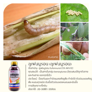 ลูเฟนนูรอน ตราไก่เกษตร 1 ลิตร (ลูเฟนนูรอน) กำจัดหนอน หนอนกระทู้ลายจุด หนอนดื้อยา หนอนเจาะ หนอนห่อใบข้าว หนอนคืบ