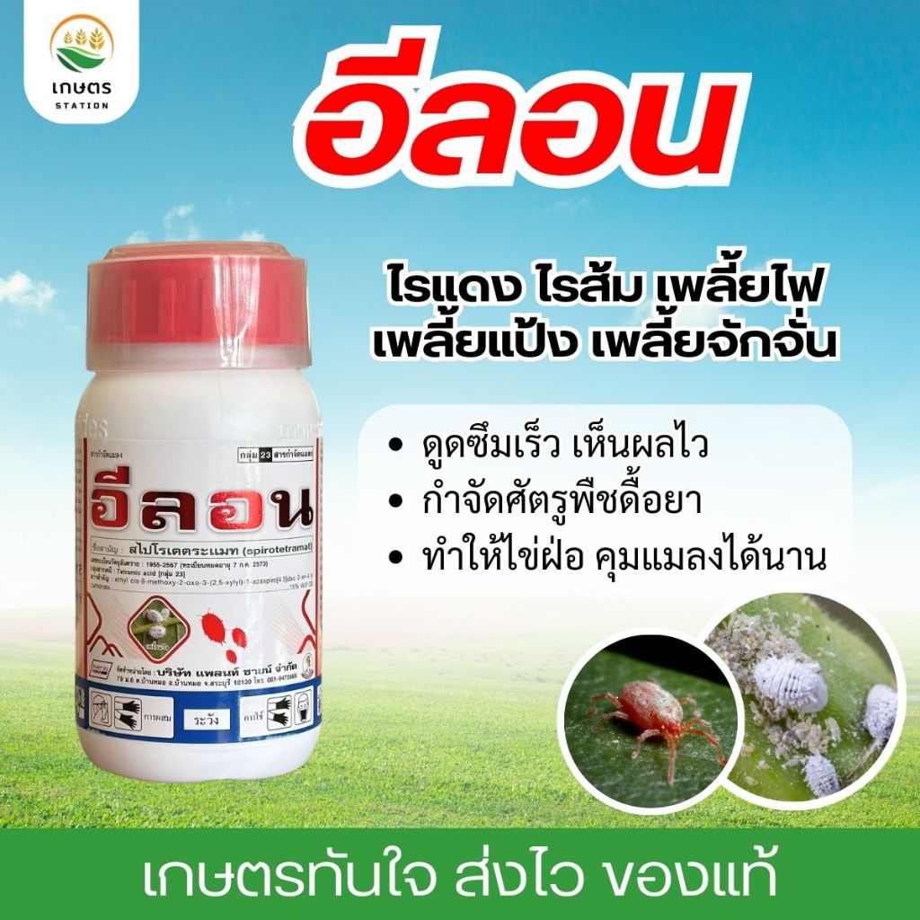 อีลอน สไปโรเตตระแมท 250cc กำจัดแมลงปากดูด เพลี้ยไฟ เพลี้ยแป้ง ไรแดง ไรสนิม ราคา ถูกที่สุด ดีลบีเคเค