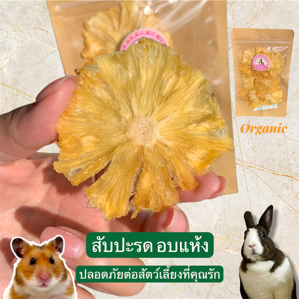 ผลไม้อบแห้งสำหรับสัตว์ฟันแทะ เหมาะกับกระต่ายและแฮมสเตอร์ สัตว์ฟันแทะทุกชนิด Organic,สัตว์ตัวเล็ก น่ารักถูกใจ - รูปที่ 3