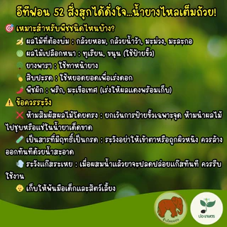 อีทีฟอน 52 (100 มล.) ยาป้ายขั้ว บ่มกล้วย มะม่วง ทุเรียน ให้สุกเสมอ ผิวสวย ยาเร่งน้ำยางพารา ทาหน้ายาง ยาเร่งดอกสับปะรด