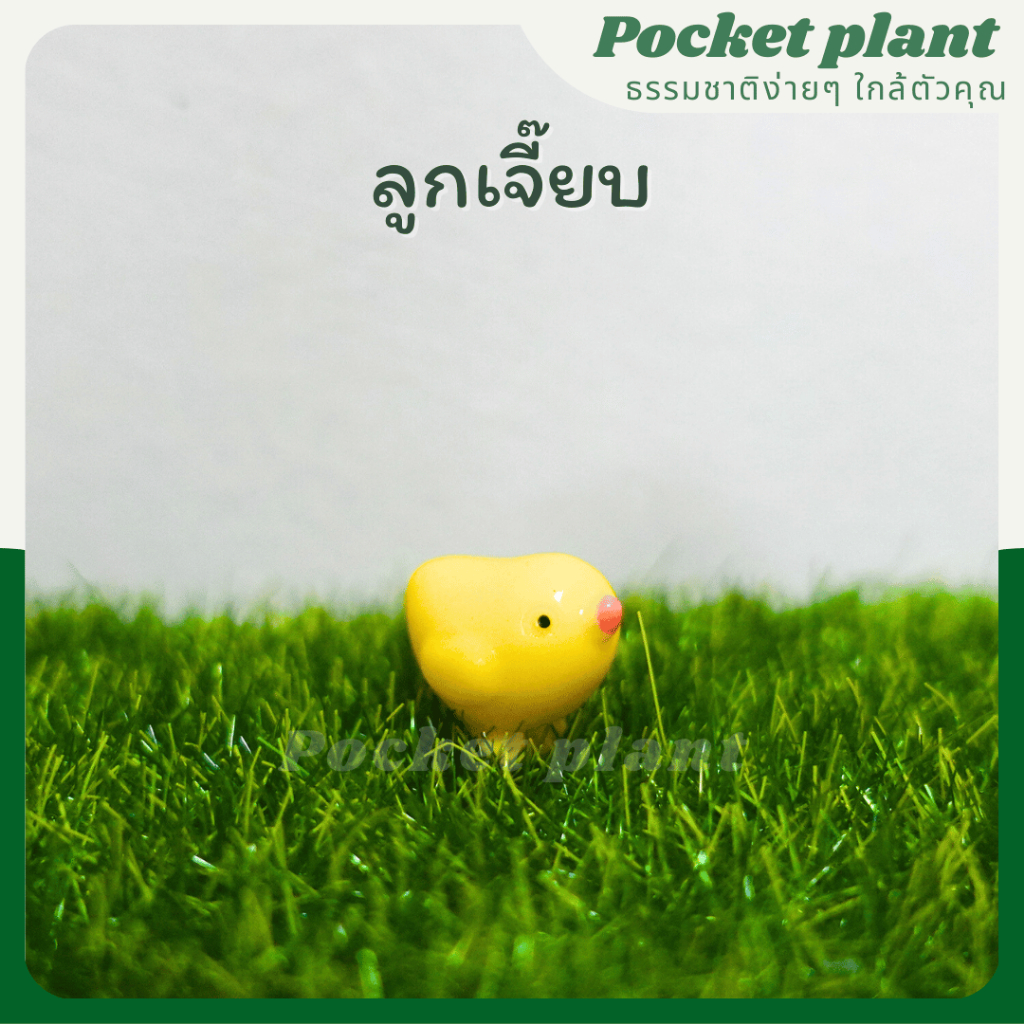 มุมมอง 4