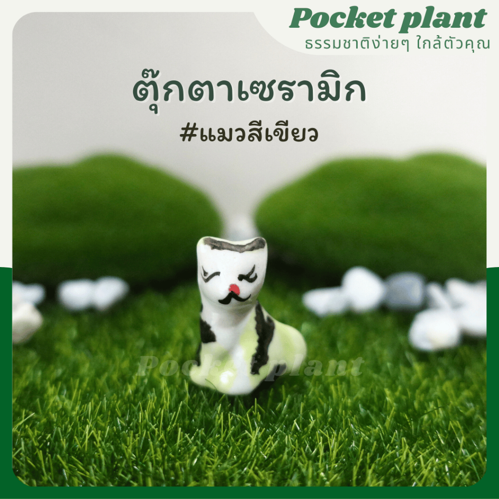 มุมมอง 6