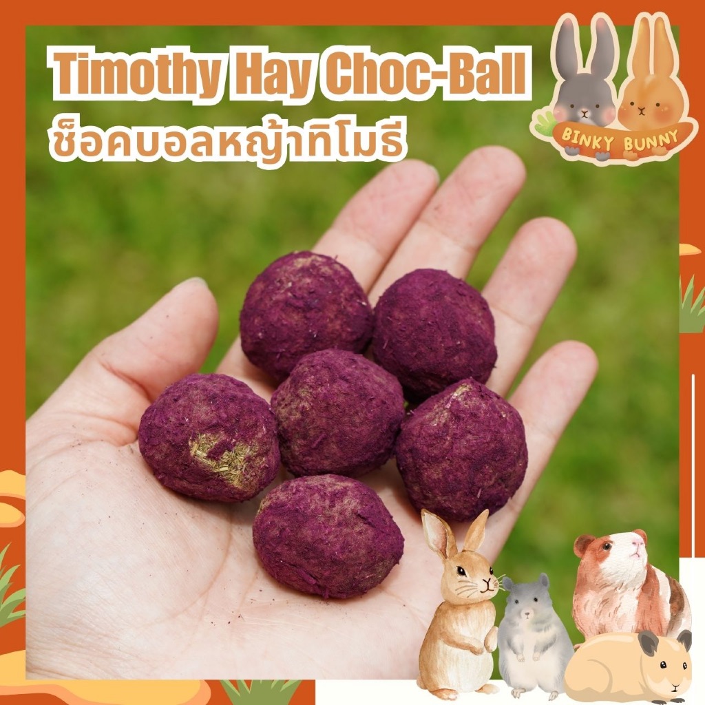 Binky Bunny House ช็อคบอลหญ้าทิโมธี (Timothy Hay Choc-Ball) ขนมอบแห้งลับฟันสำหรับสัตว์ฟันแทะ 10 ลูก