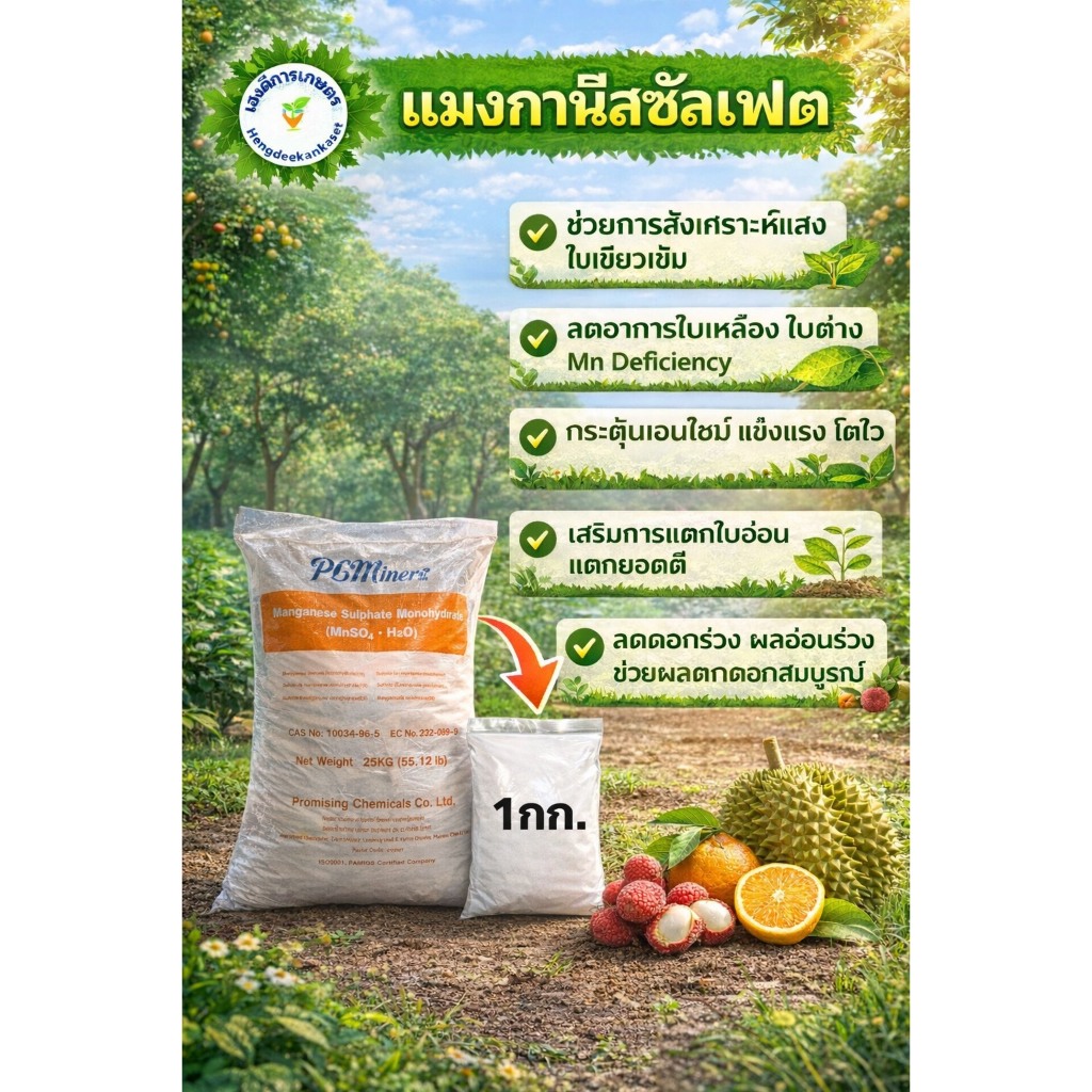 แมงกานีสซัลเฟต 32% Manganese Sulfate Monohydrate สังเคาระห์แสง บำรุงใบ บรรจุ 1 กิโลกรัม