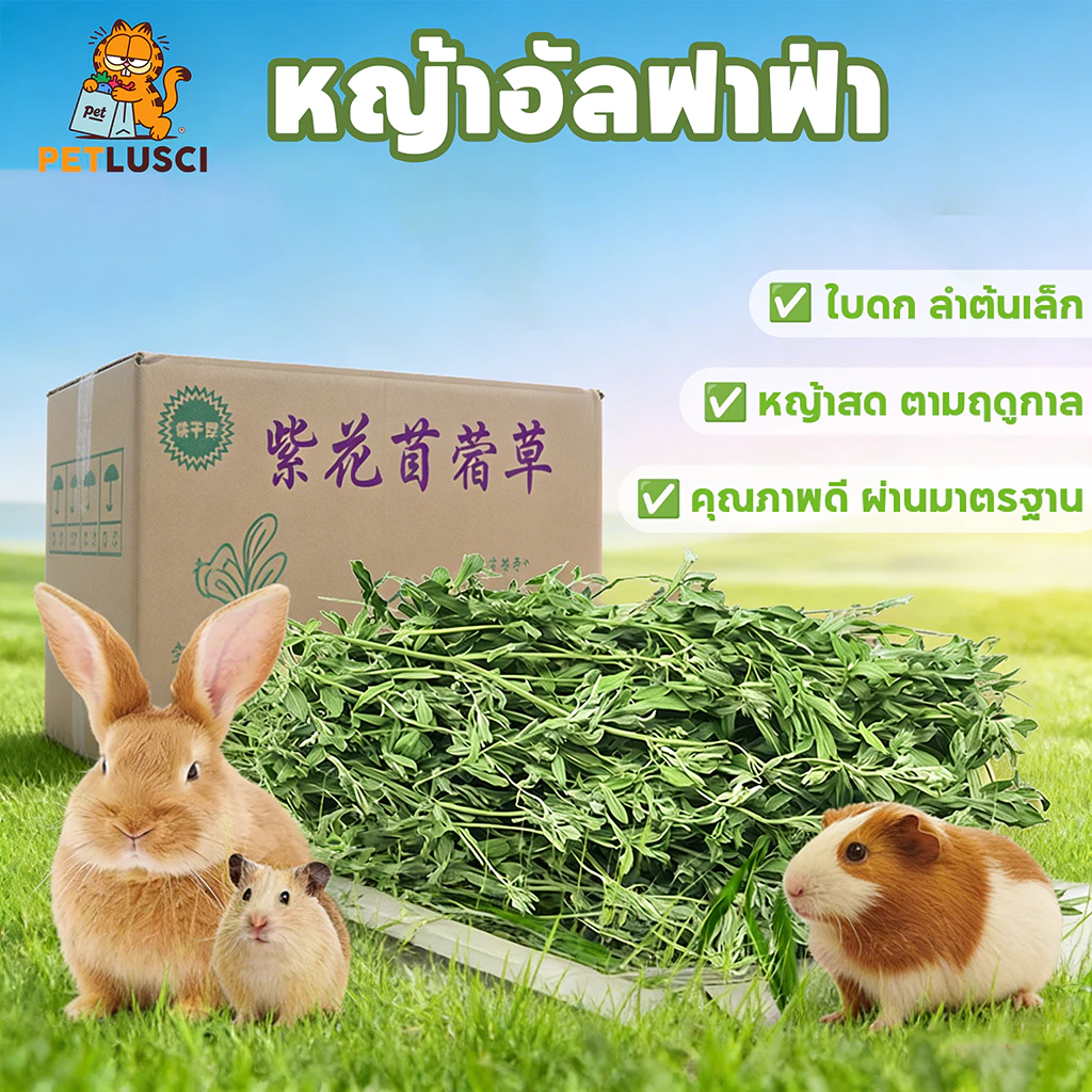 PETLUSCI หญ้ากระต่าย หญ้าอัลฟาฟ่า 1KG พรีเมี่ยม ใบล้วน อบลมร้อน ไม่สับ ไร้ฝุ่น กระรอก สำหรับ กระต่าย
