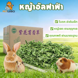 PETLUSCI หญ้ากระต่าย หญ้าอัลฟาฟ่า 1KG พรีเมี่ยม ใบล้วน อบลมร้อน ไม่สับ ไร้ฝุ่น กระรอก สำหรับ กระต่าย