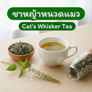 ชาหญ้าหนวดแมว ขนาด100 ซองชา หญ้าหนวดแมวบดผงในซองชาพร้อมดื่มรสชาติธรรมชาติดื่มง่าย