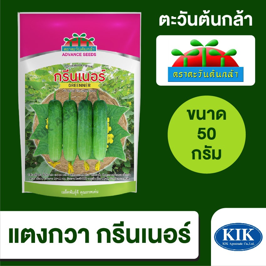 เมล็ดพันธุ์ ตะวันต้นกล้า แตงกวา กรีนเนอร์ SP BIG  ขนาด 50 กรัม