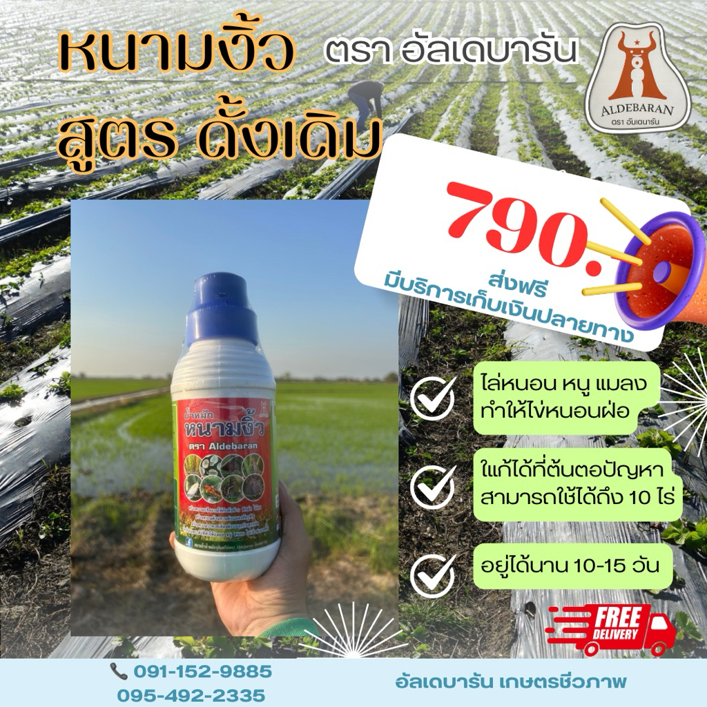 น้ำหมักจุลินทรีย์หนามงิ้ว สูตรดั้งเดิม ไล่หนู หนอน เเมลง เพลี้ย ค้างคาว ผีเสื้อกลางคืน ไข่ฝ่อ
