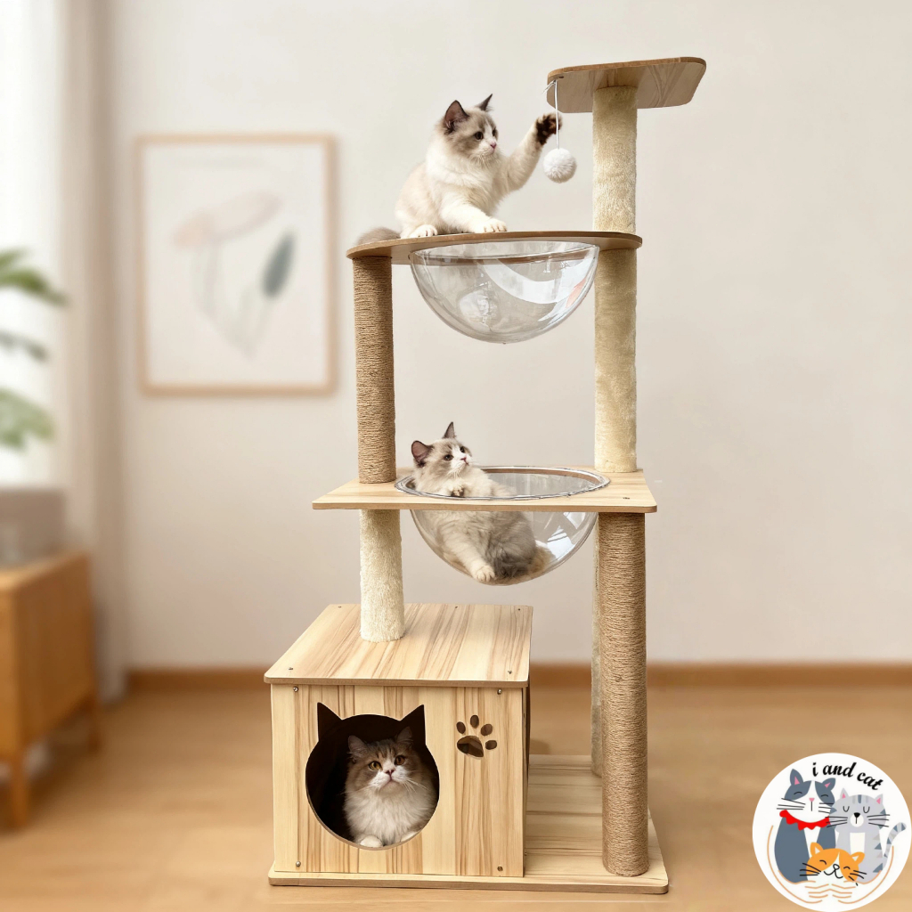 คอนโดแมว I And Cat: ที่นอน ที่ลับเล็บ ของเล่นแมว ครบจบในพื้นที่จำกัด