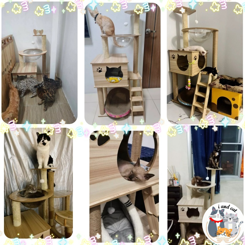 คอนโดแมว ที่นอนแมว บ้านแมว หลุมแมว ที่ฝนเล็บแมว ของเล่นแมว คอนโดแมวไม้ ที่ลับเล็บแมว ของใช้แมว รูปที่ 2