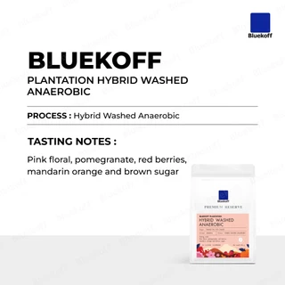 Bluekoff เมล็ดกาแฟ ไทย อราบิก้า 100% Bluekoff Plantation: Hybrid Anaerobic (1 ถุง บรรจุ 250 กรัม)