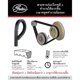 Gates สายพานหน้าเครื่อง แอร์ ไดชาร์ท เพาเวอร์ Honda Civic ES…