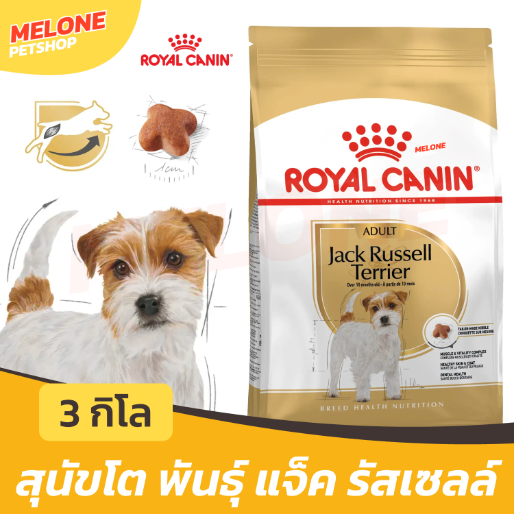 Royal Canin Jack Russell Terrier Adult รอยัลคานิน แจ็ค รัสเซล อาหารสุนัข สุนัขโต ขนาด 3 kg