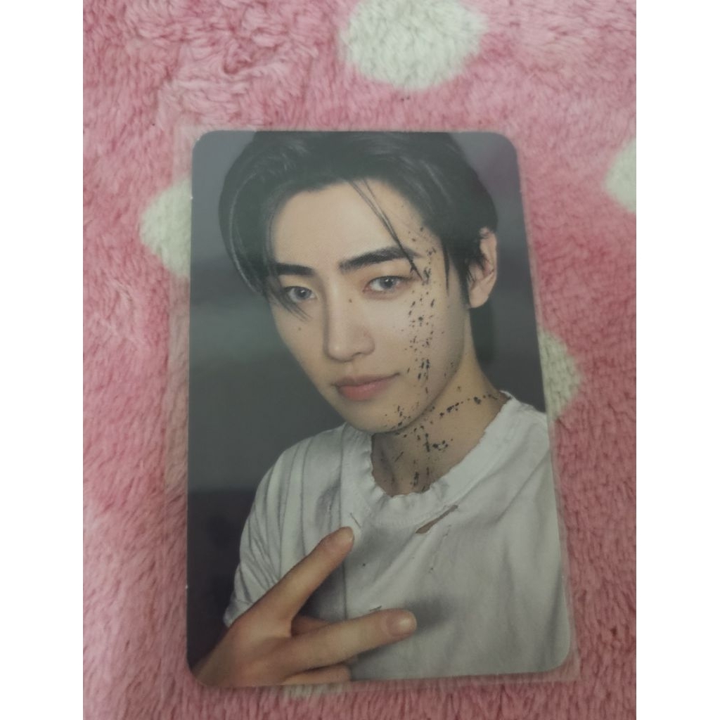 photo card Album DESIRE UNLEASH enhypen