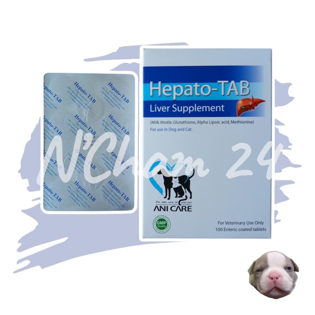 Hepato Tab วิตามินบำรุงตับสำหรับสุนัขและแมว
