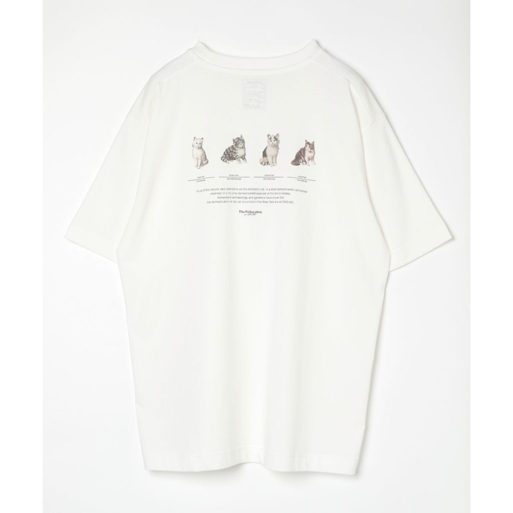 GLOBAL WORK เสื้อยืด กราฟิกเอ็กซ์คลูซีฟ Graphic T-shirt 2 (Short Sleeve) ราคา ถูกที่สุด ดีลบีเคเค