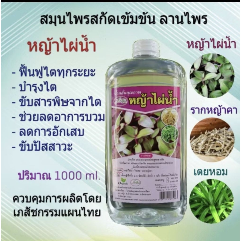 สมุนไพรสกัดหญ้าไผ่น้ำ