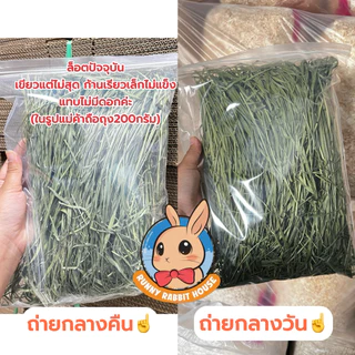 หญ้าทิมโมธีพรีเมี่ยมอบลมร้อน timothy เกรดยอดอ่อน มีไฟเบอร์วิตามิน สำหรับสัตว์ฟันแทะ กระต่าย แกสบี้ แพรี่ด็อก