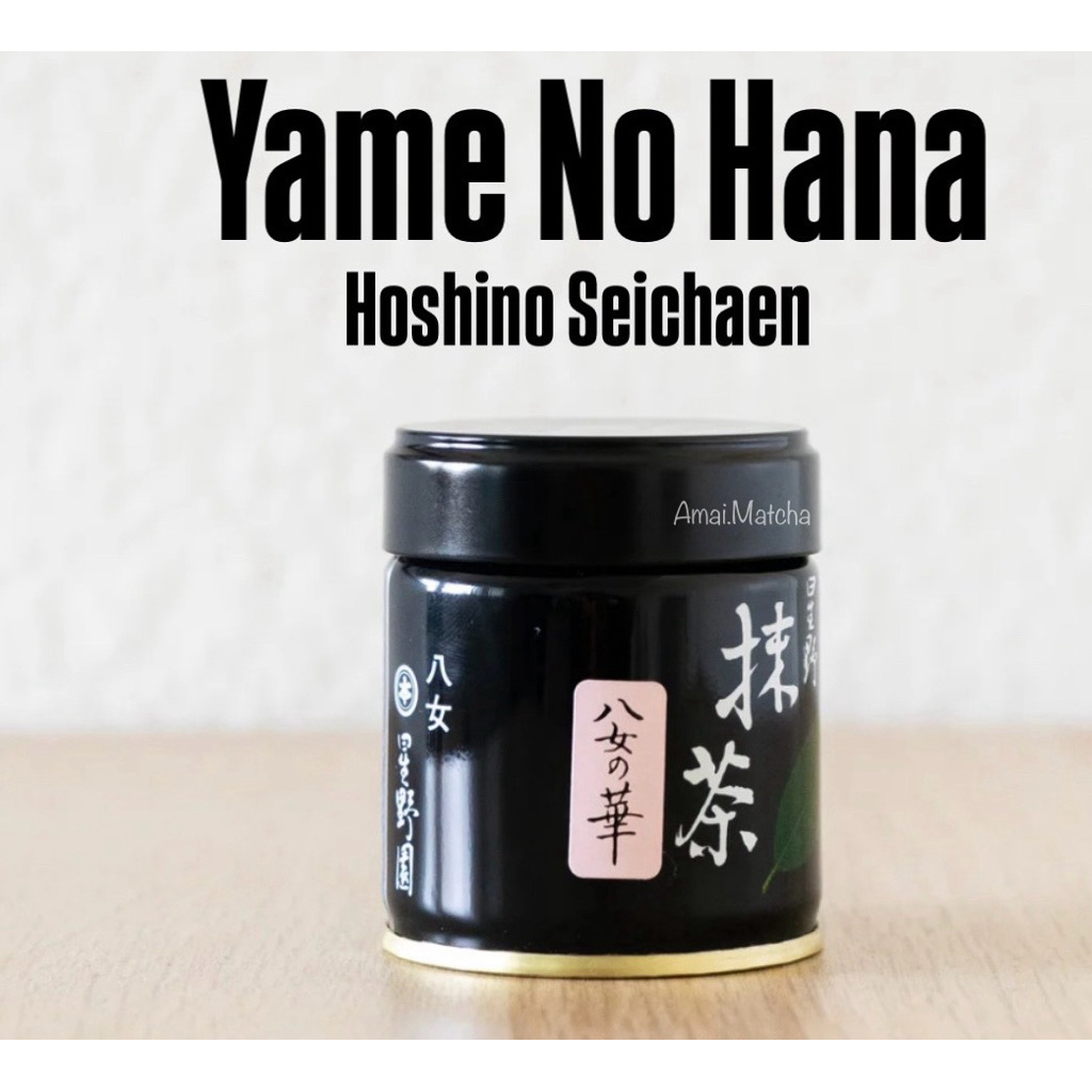 พร้อมส่ง Yame no Hana Hoshino Seichaen