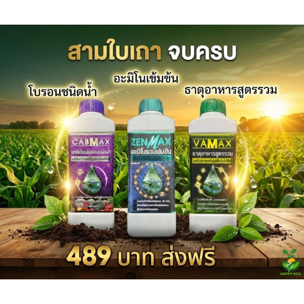 สามใบเถา จบครบสูตร Cabmax Vamax Zenmax