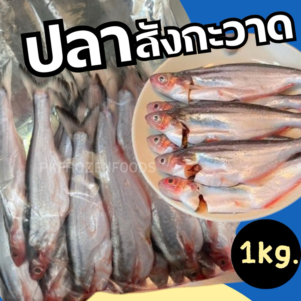 ปลาสังกะวาด (ไม่มีไข่)🐟🐟 ปลาแม่น้ำอยุธยาแท้ๆ (1kg.)ยังไม่ได้ทำ 18-22ตัวโล⚡️ส่งด่วน🔥ค่าส่งเหมา 🚚💨ส่งขนส่งแช่เย็น❄️