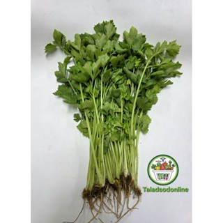 ขึ้นช่ายไทย สด สะอาด รับประกันคุณภาพ