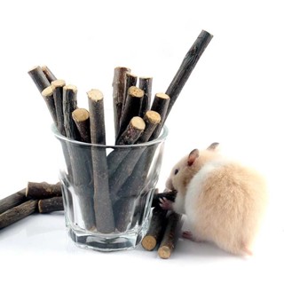 ไม้เเอปเปิ้ล 1 เเท่ง ไฟเบอร์สูง ขนมลับฟัน สำหรับสัตว์ฟันแทะ …