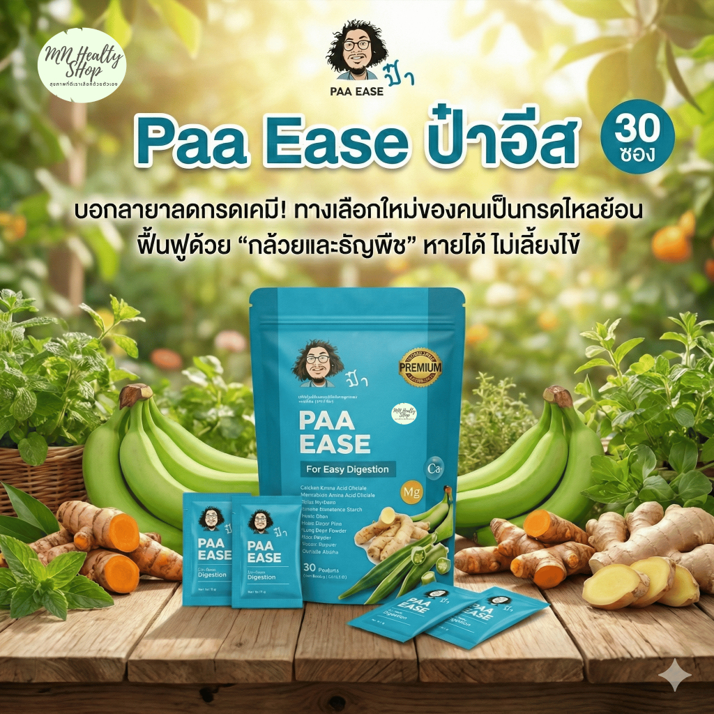 Paa Ease ป๋าอีส หมอนอกกะลา ป๋าสันติ Santi Manadee แก้กรดไหลย้อน 1แพ็ค/30ซอง