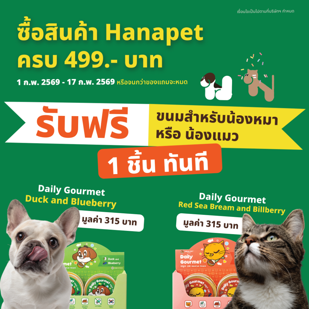 รูปภาพ 2