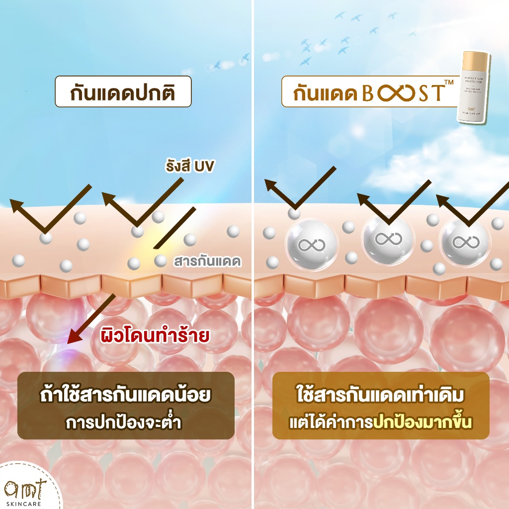 [แพ็คคู่] AMT Perfect Sun Protector Ultra Light Milk Super Waterproof SPF50 PA++++ 50mL - กันแดดสูตรกันน้ำ สัมผัสบางเบา รูปที่ 3